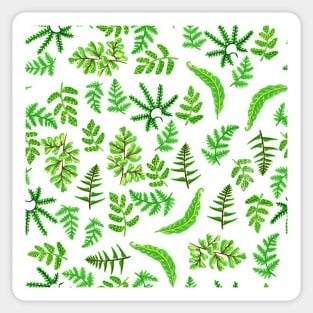 Ferns in Gouache Pattern Sticker